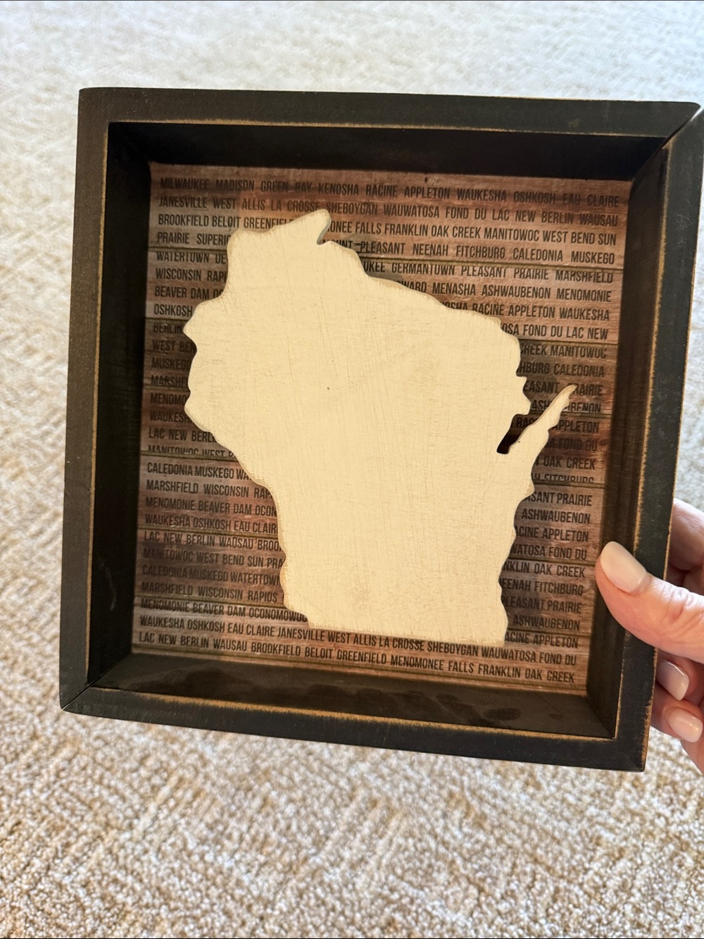 Wisconsin Box Sign NWT